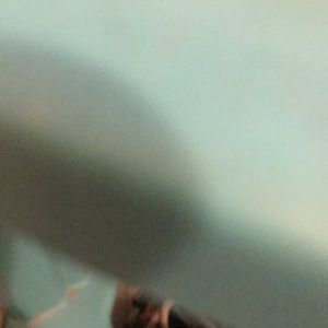 Meet your Posher, Corey